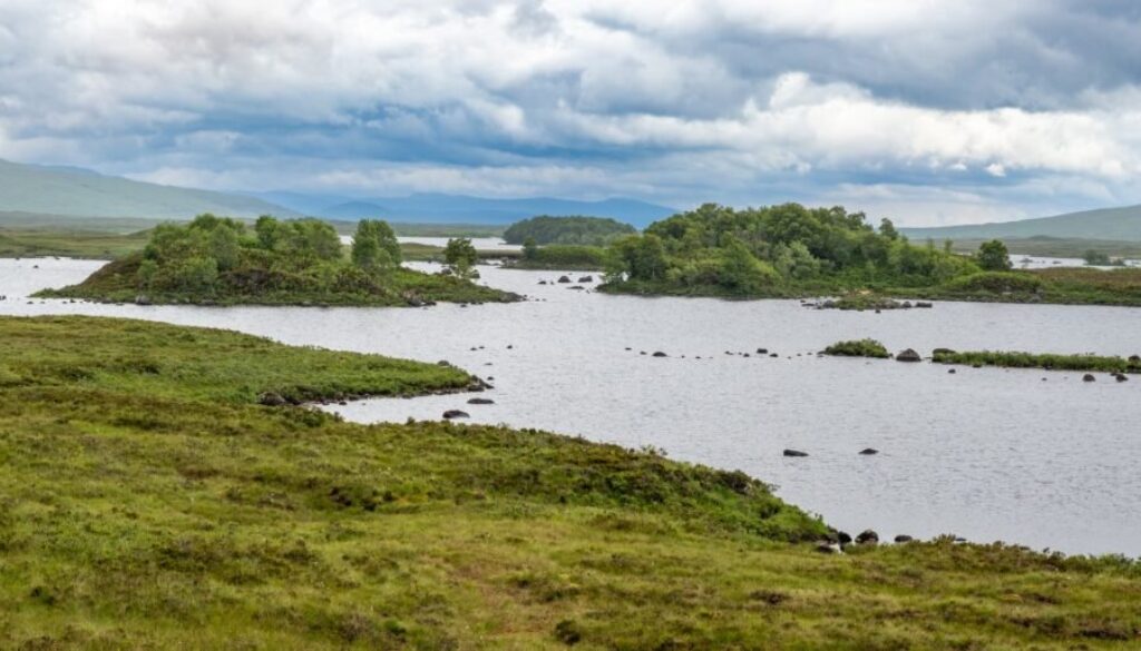 NRW startet landesweite Initiative zum Schutz von Kohlenstoffspeichern