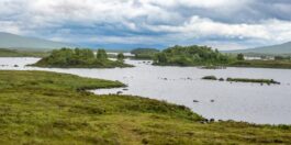 NRW startet landesweite Initiative zum Schutz von Kohlenstoffspeichern
