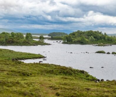 NRW startet landesweite Initiative zum Schutz von Kohlenstoffspeichern