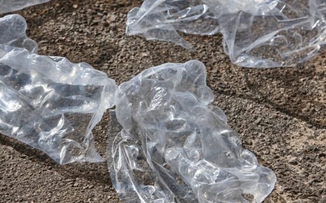 Die wichtigsten Aufgaben eines Abfallbeauftragten im Überblick