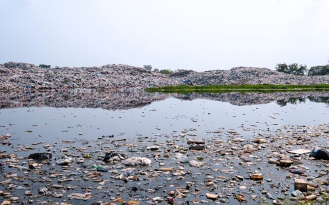 Gewässerschutzbeauftragter als Bindeglied zwischen Umwelt und Unternehmen