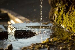 Grundwasser Definition
