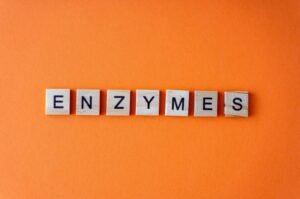 Enzym Definition
